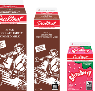 Flavoured Milks | Sealtest